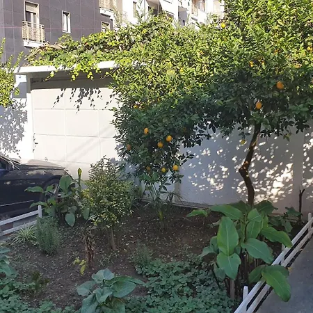 Orange House 펜션 티라나